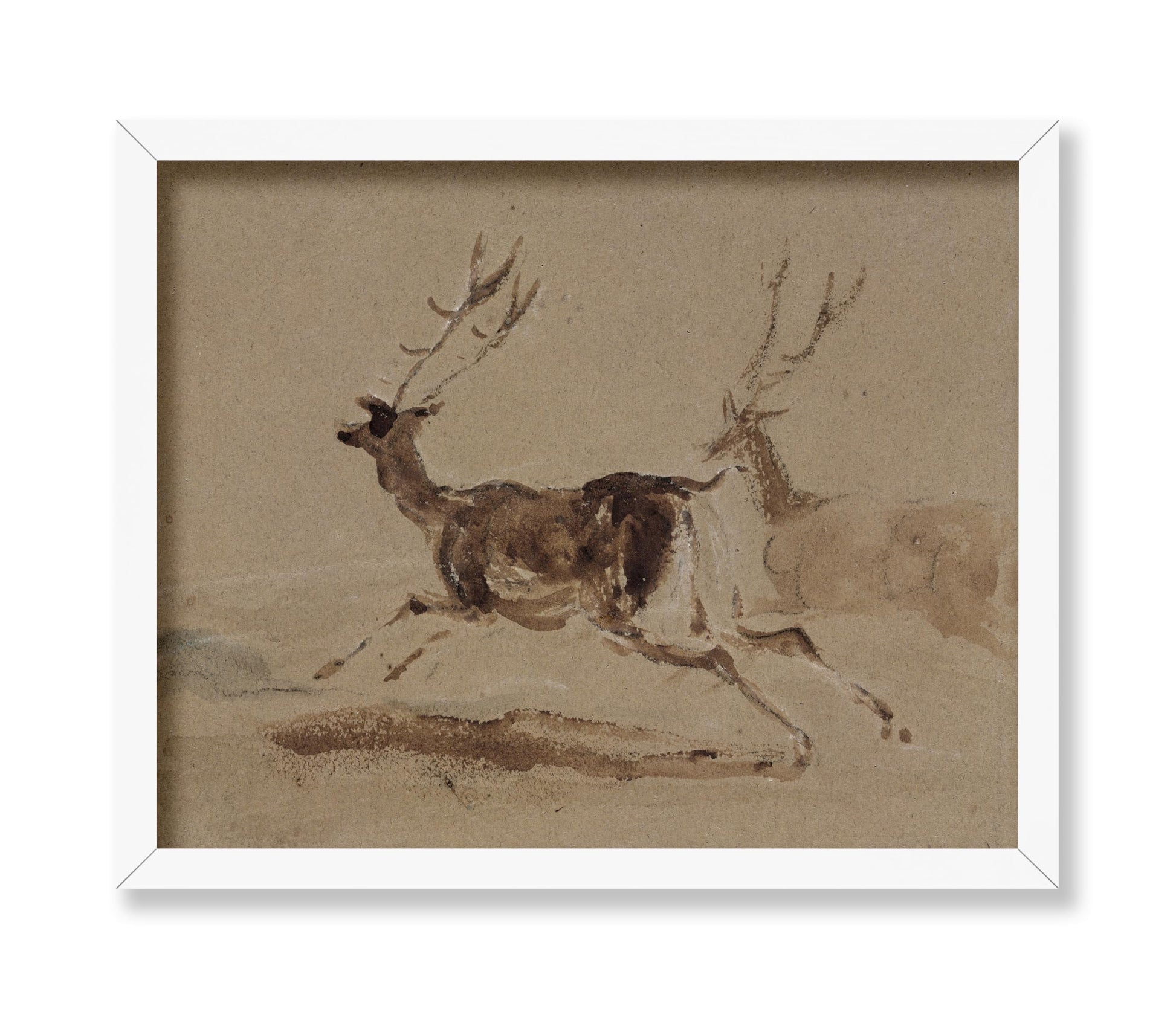 Two Stags Running