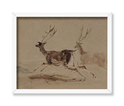 Two Stags Running