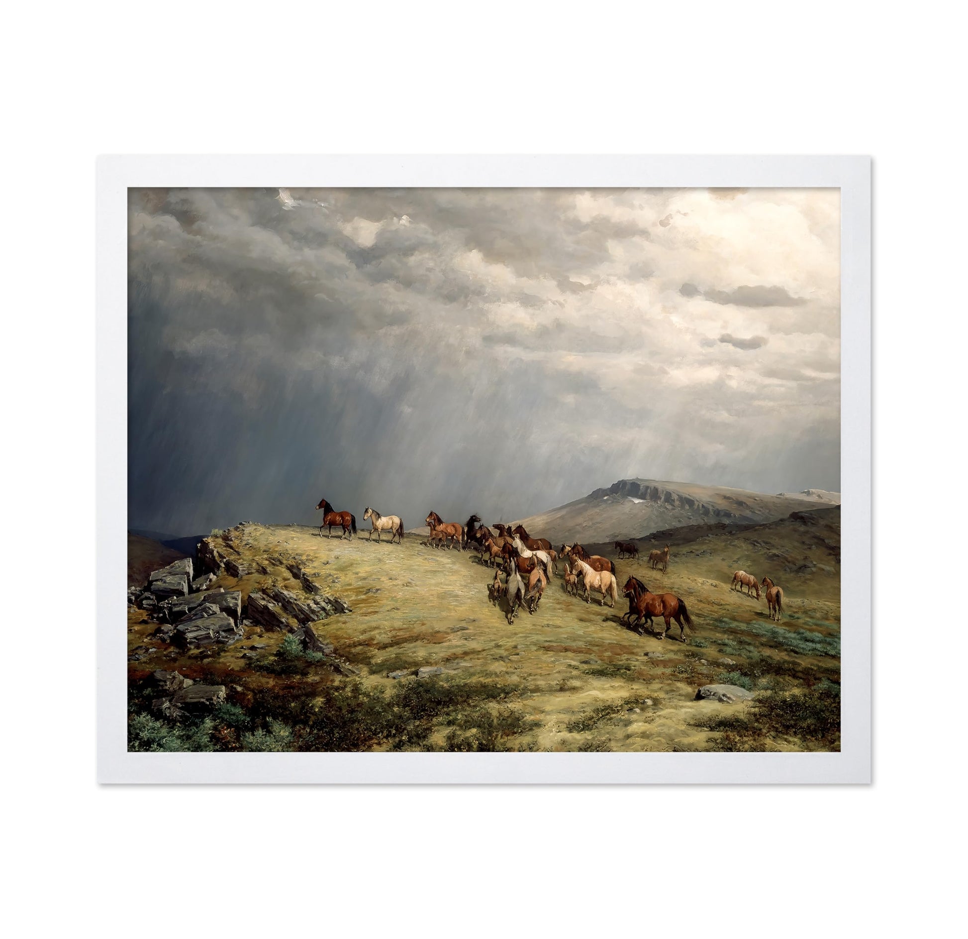 Horses in The Mountains