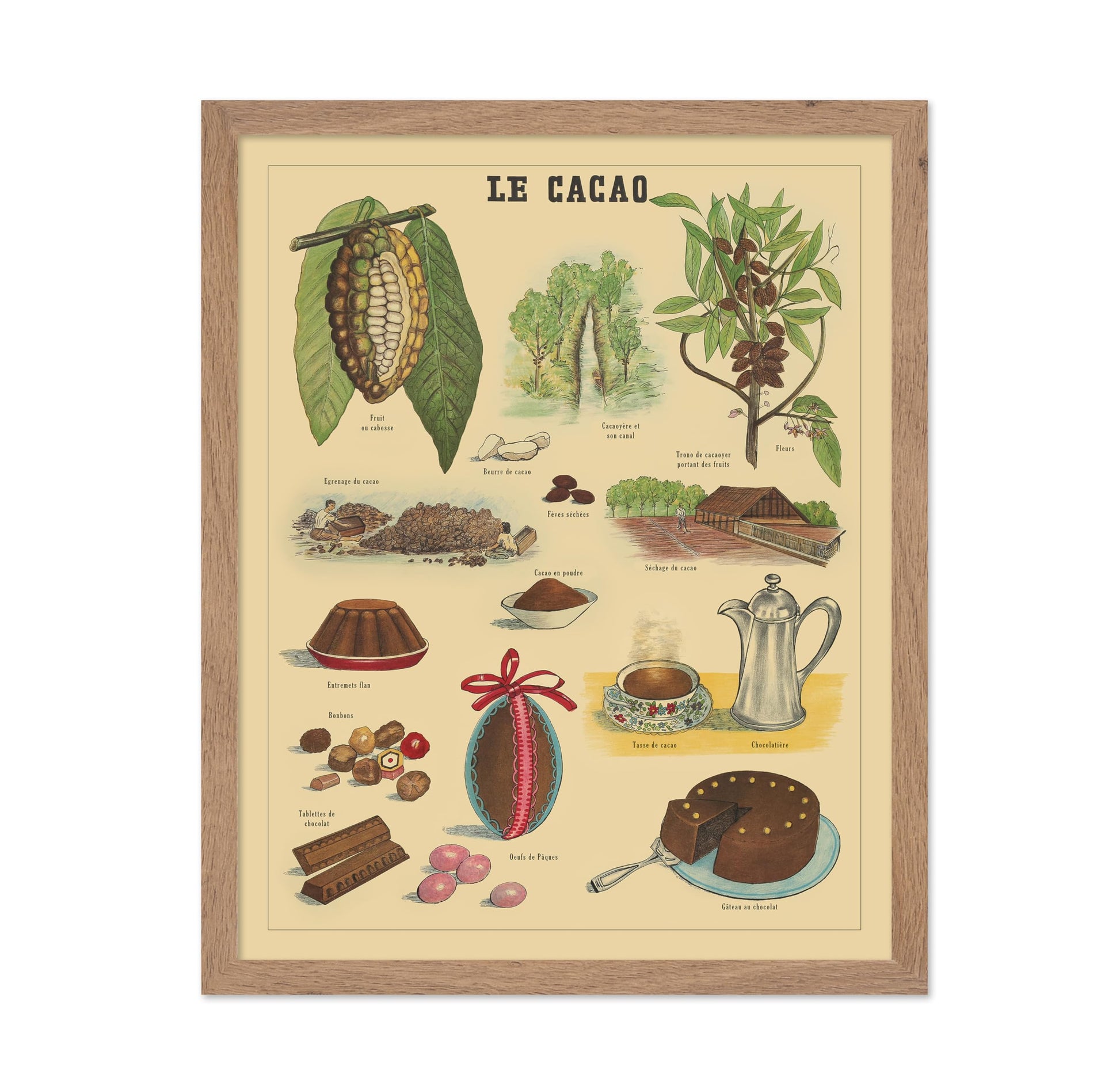 Le Cacao