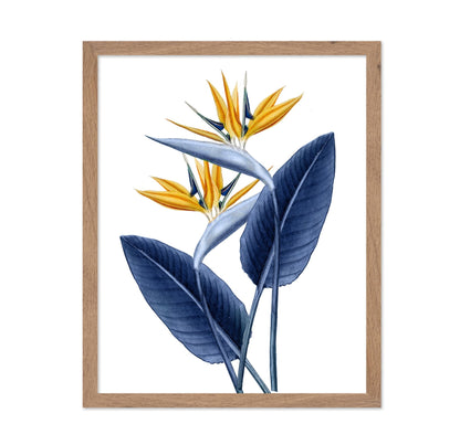 Bird of Paradise No1