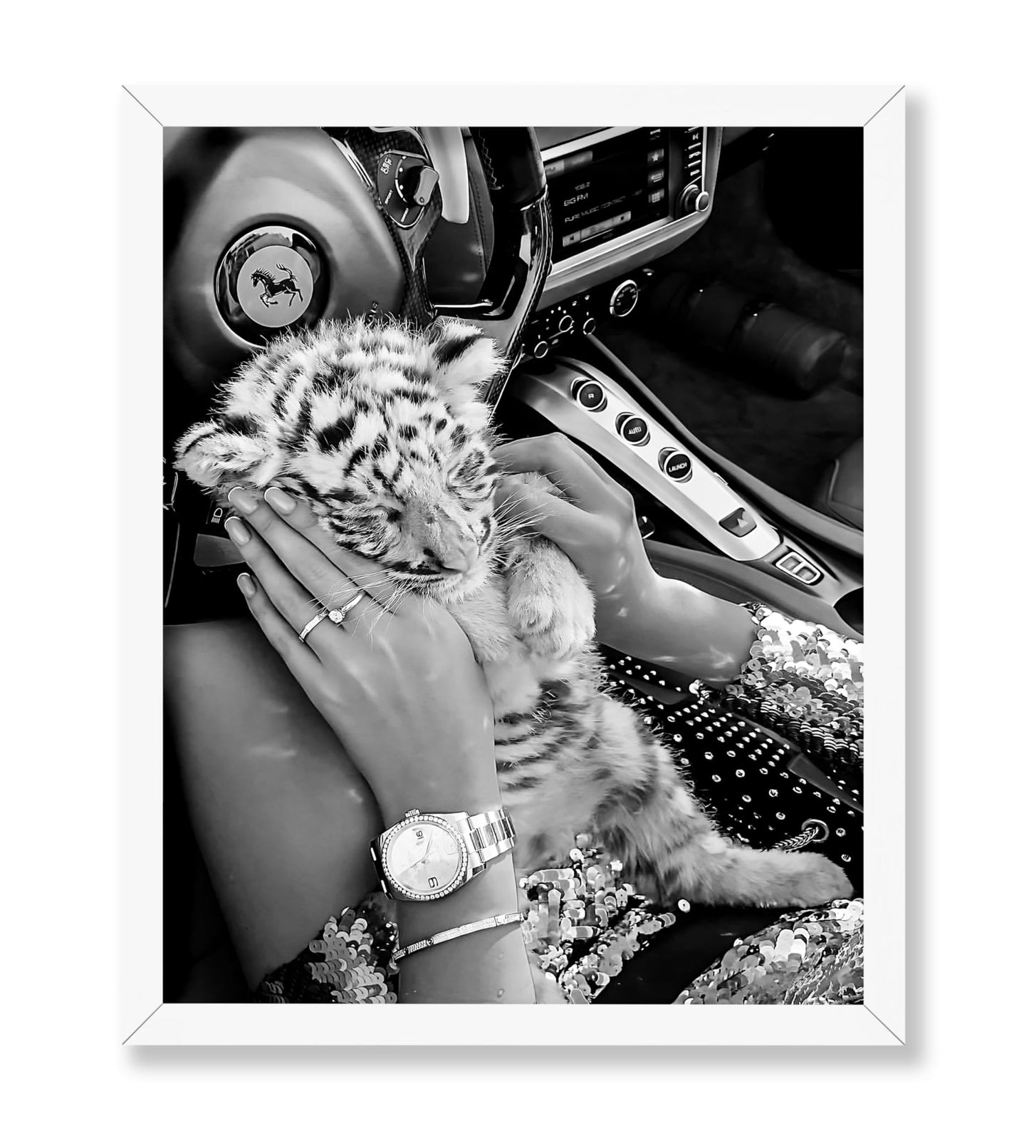 Baby Tiger in Car