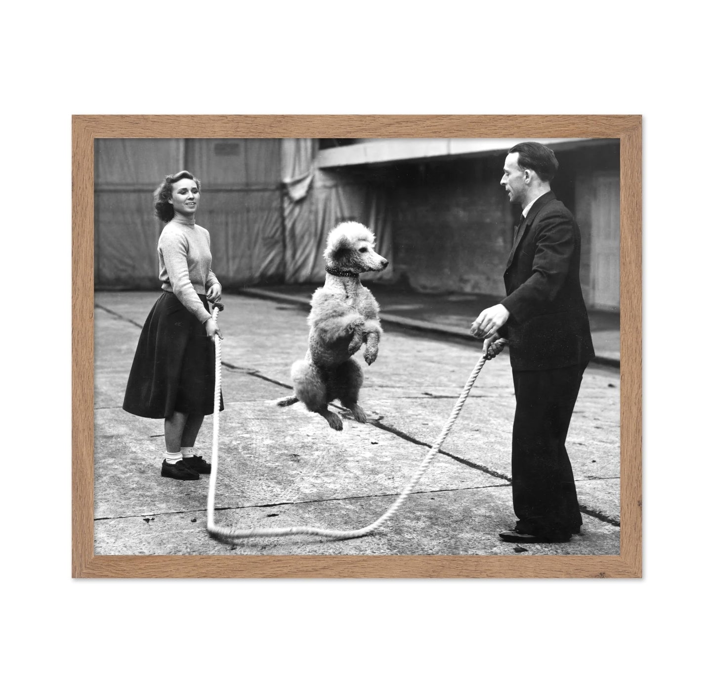 Poodle Jumping Rope