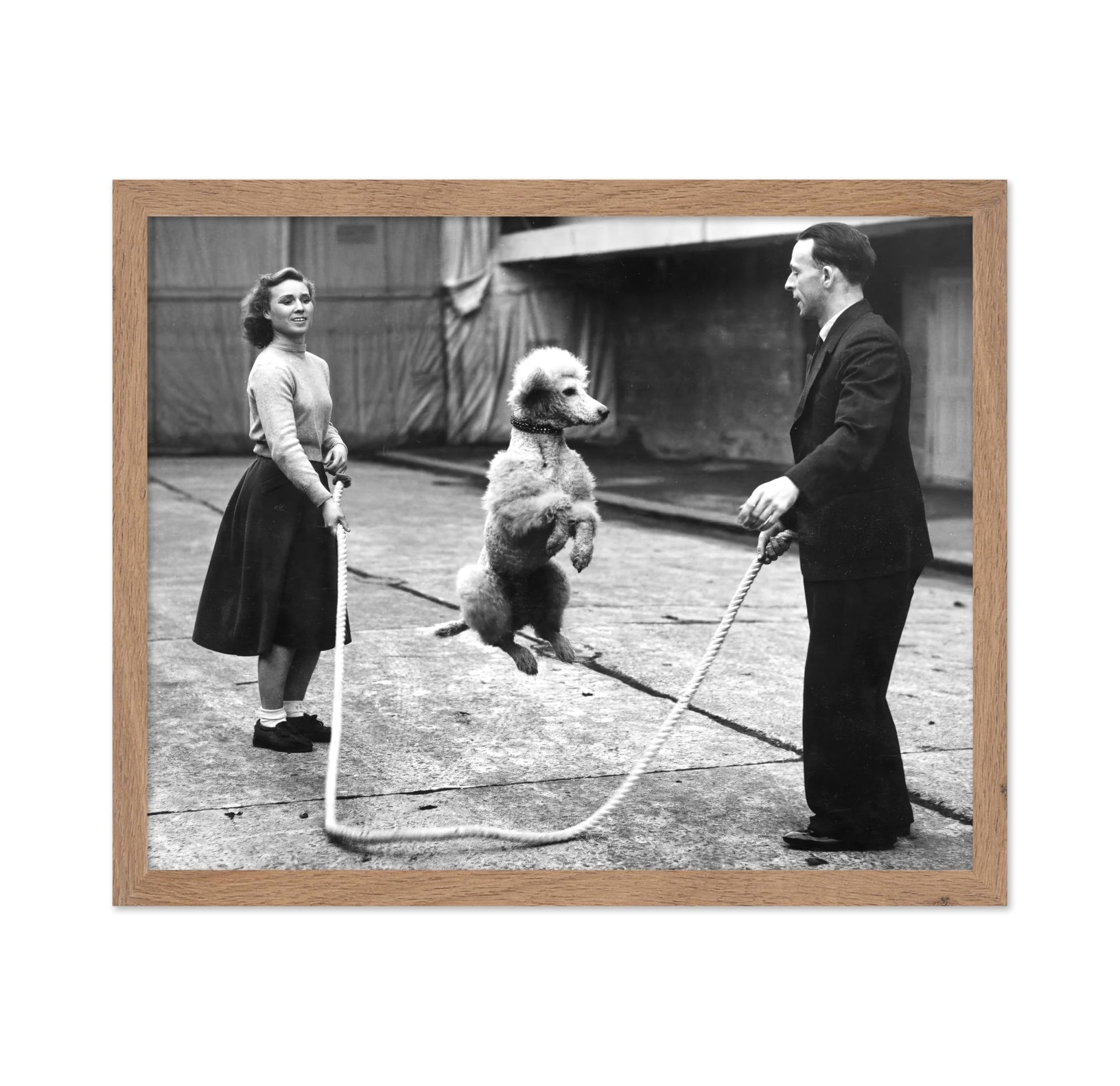 Poodle Jumping Rope