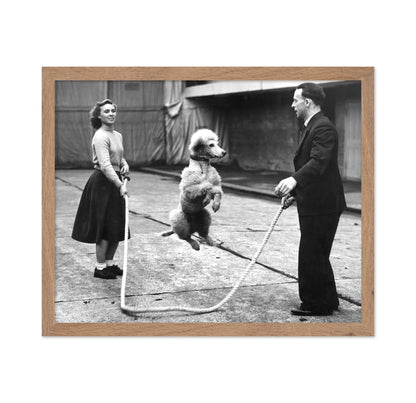 Poodle Jumping Rope
