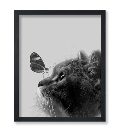 Butterfly on Cat