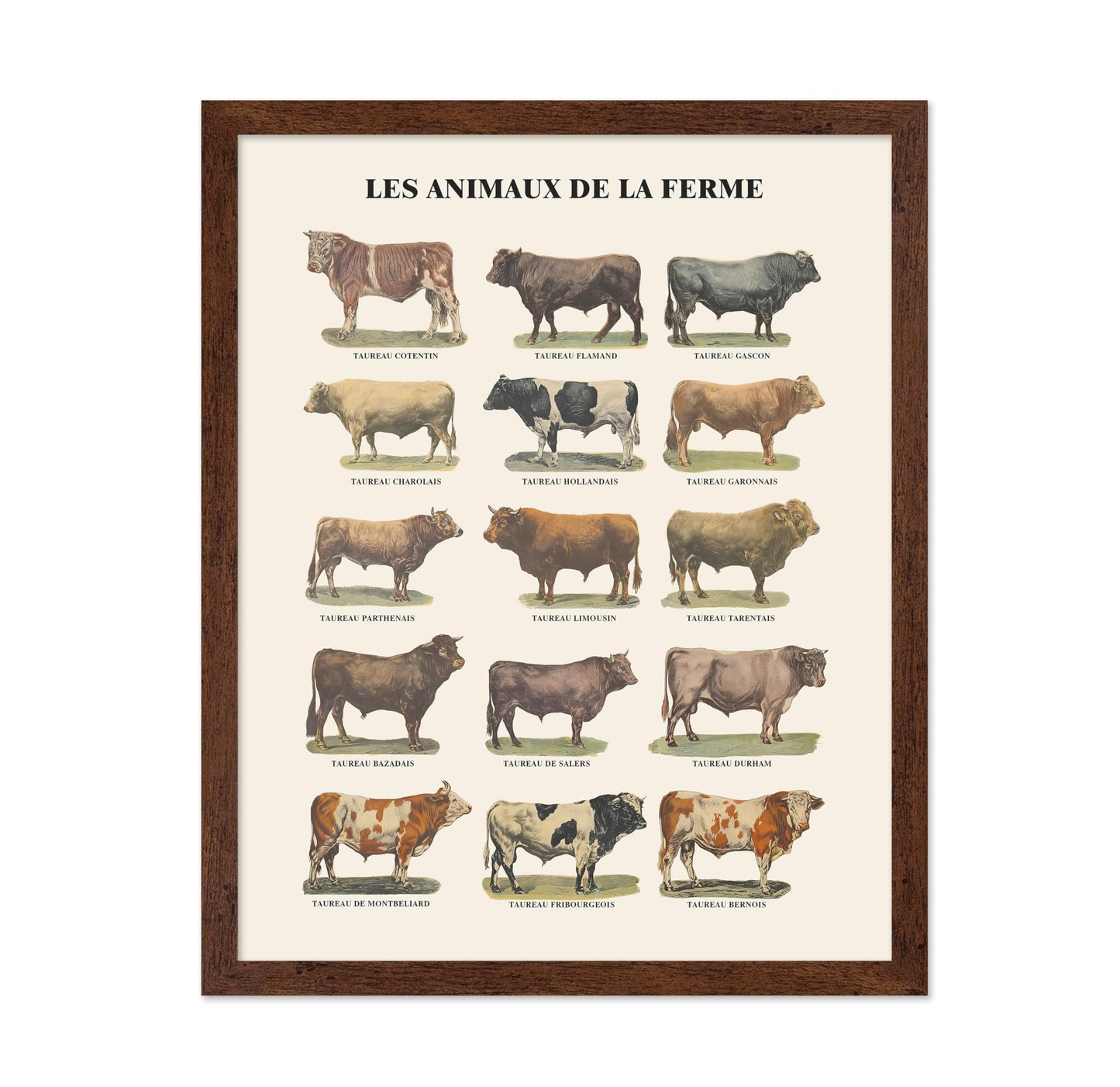 Farm Animals