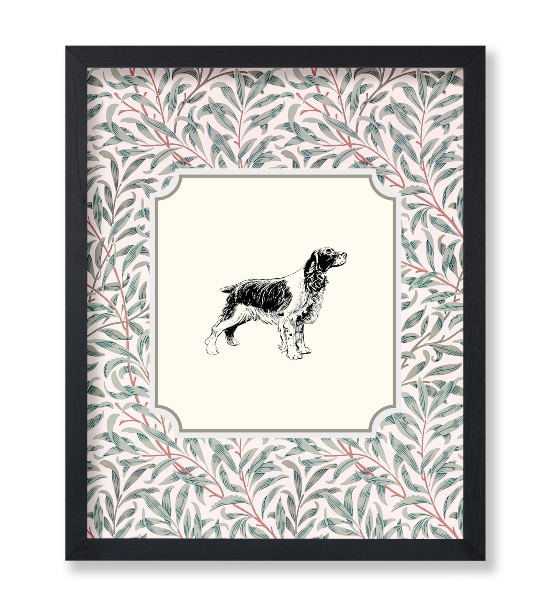 English Cocker Spaniel