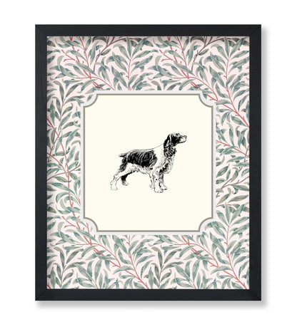 English Cocker Spaniel
