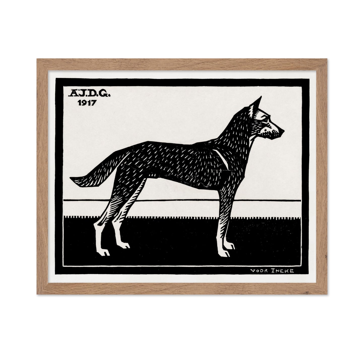 Black & White Dog