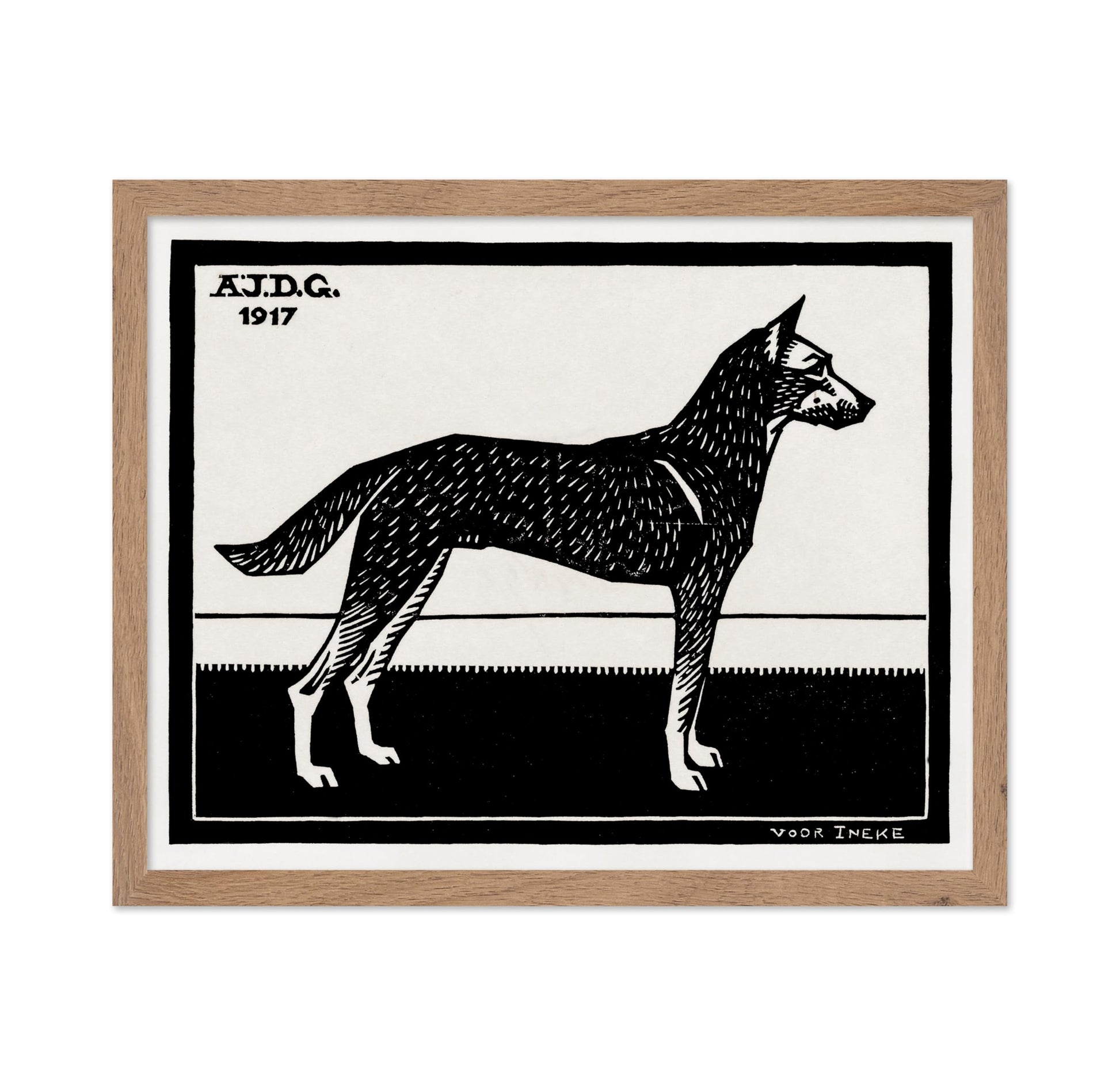 Black & White Dog