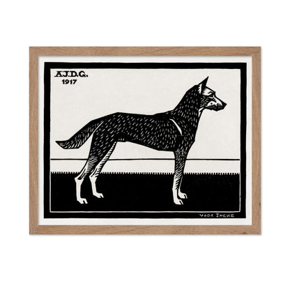 Black & White Dog