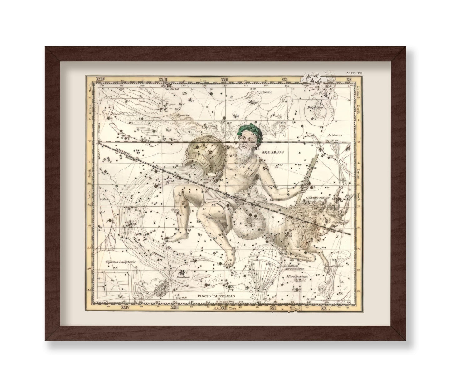 Capricorn & Aquarius Zodiac
