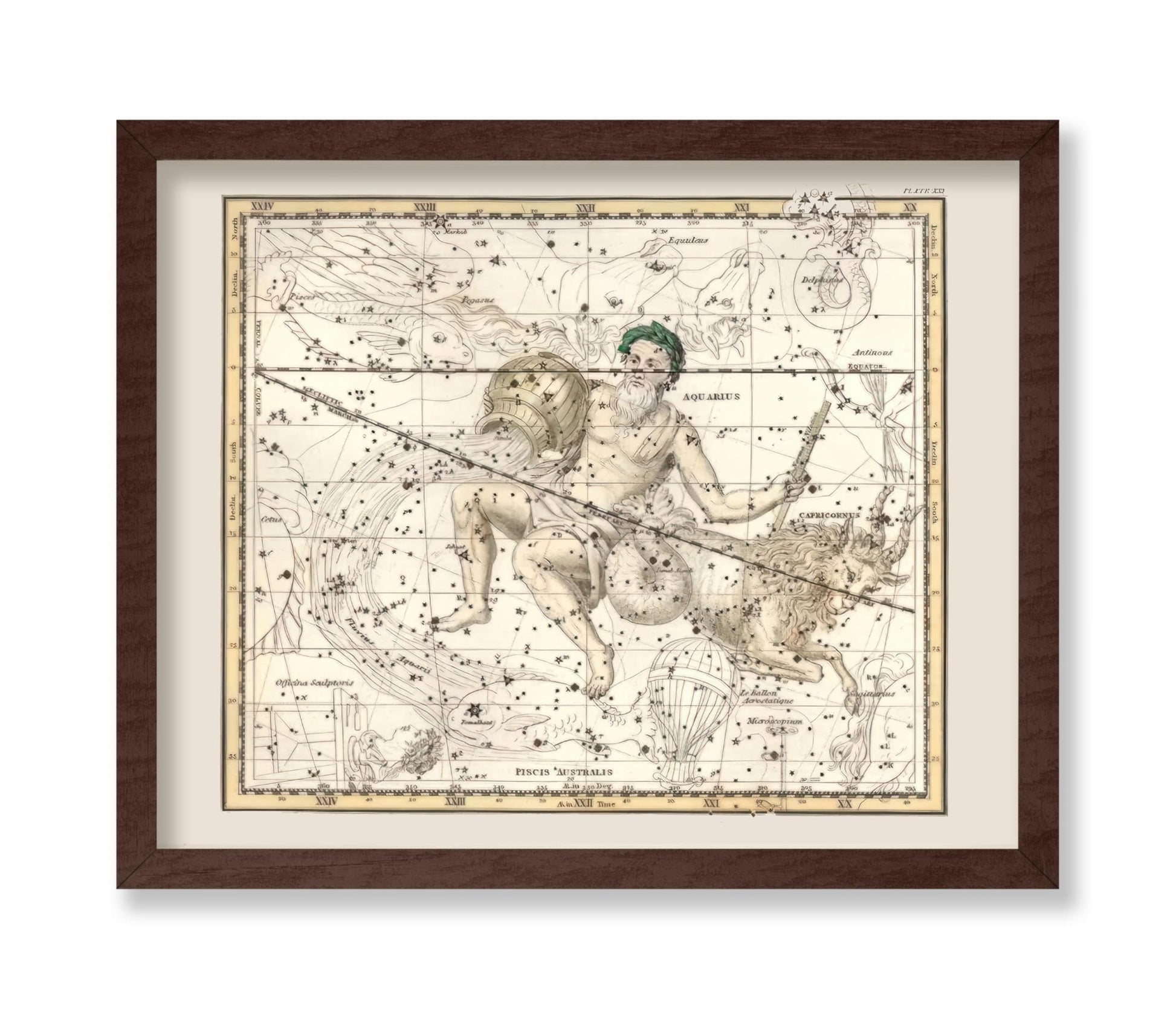 Capricorn & Aquarius Zodiac