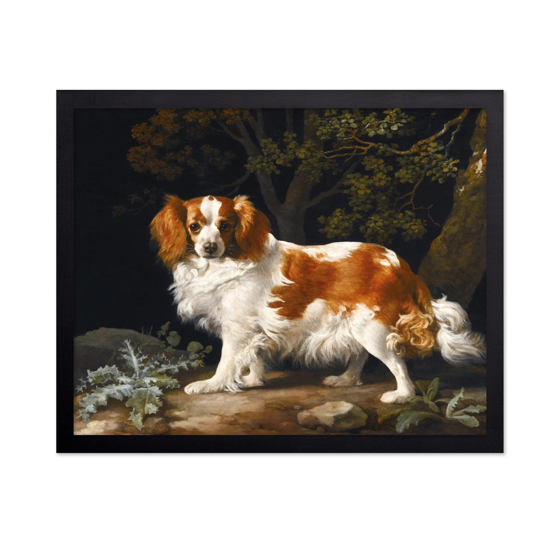 King Charles Spaniel in a Wooded Landscape