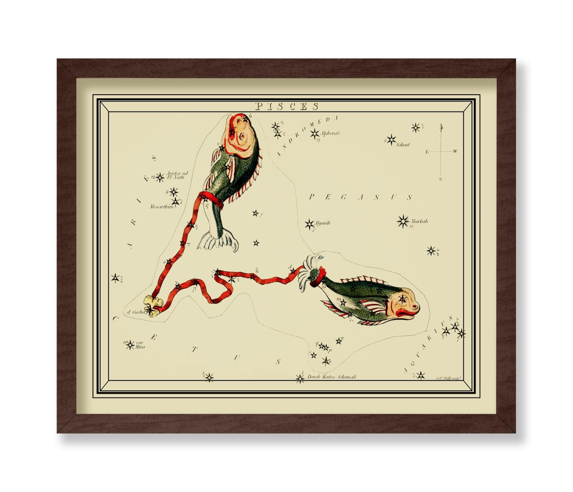 Urania's Mirror Pisces