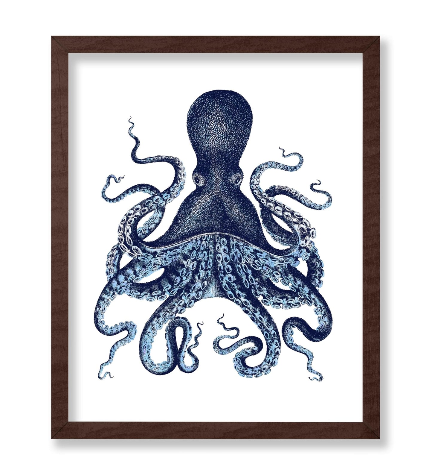 Aquatic Octopus