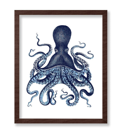 Aquatic Octopus