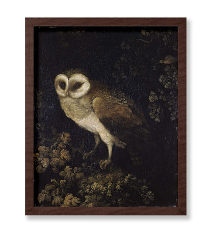 Moses Haughton - An Owl