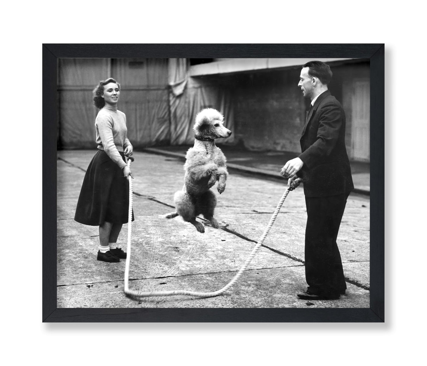 Poodle Jumping Rope
