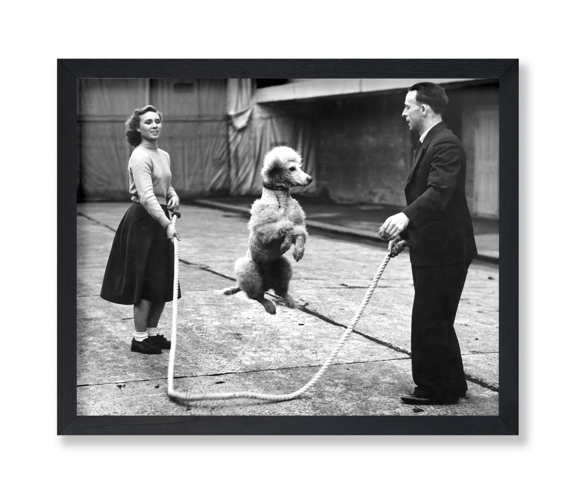 Poodle Jumping Rope