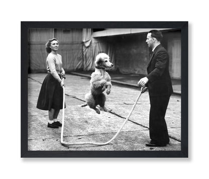 Poodle Jumping Rope