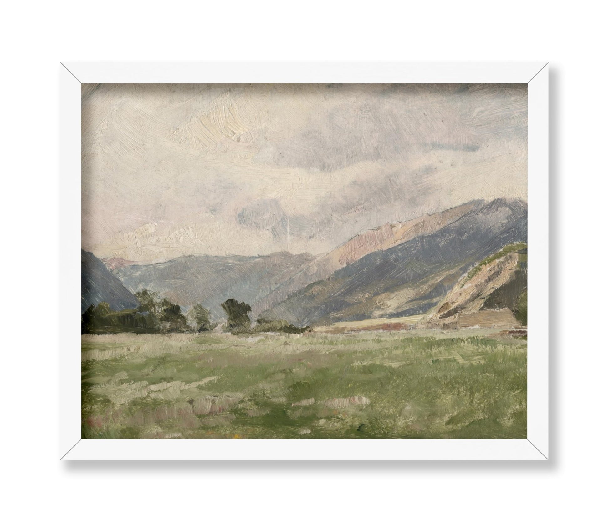 Mountain Meadow