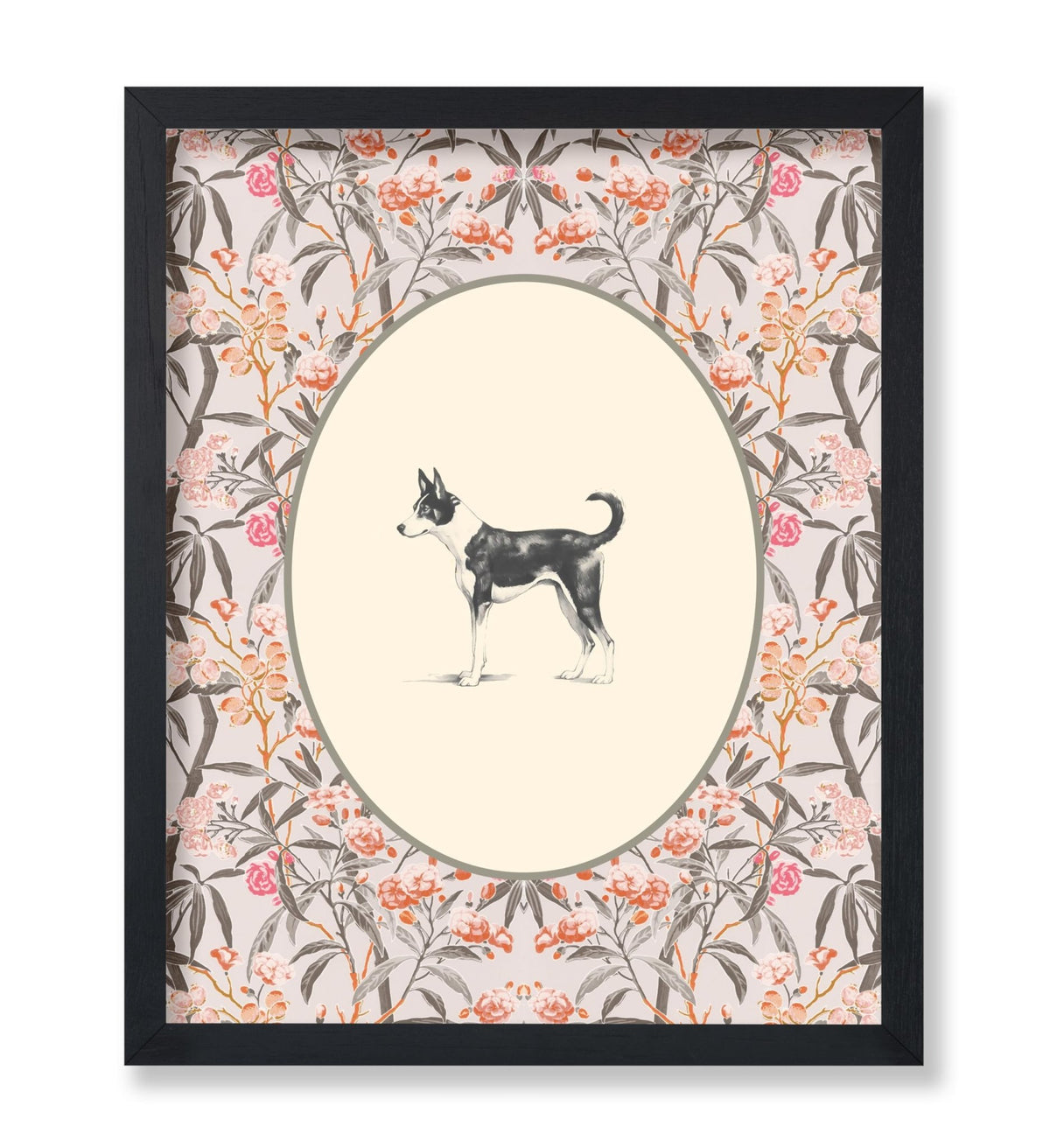 Basenji Portrait