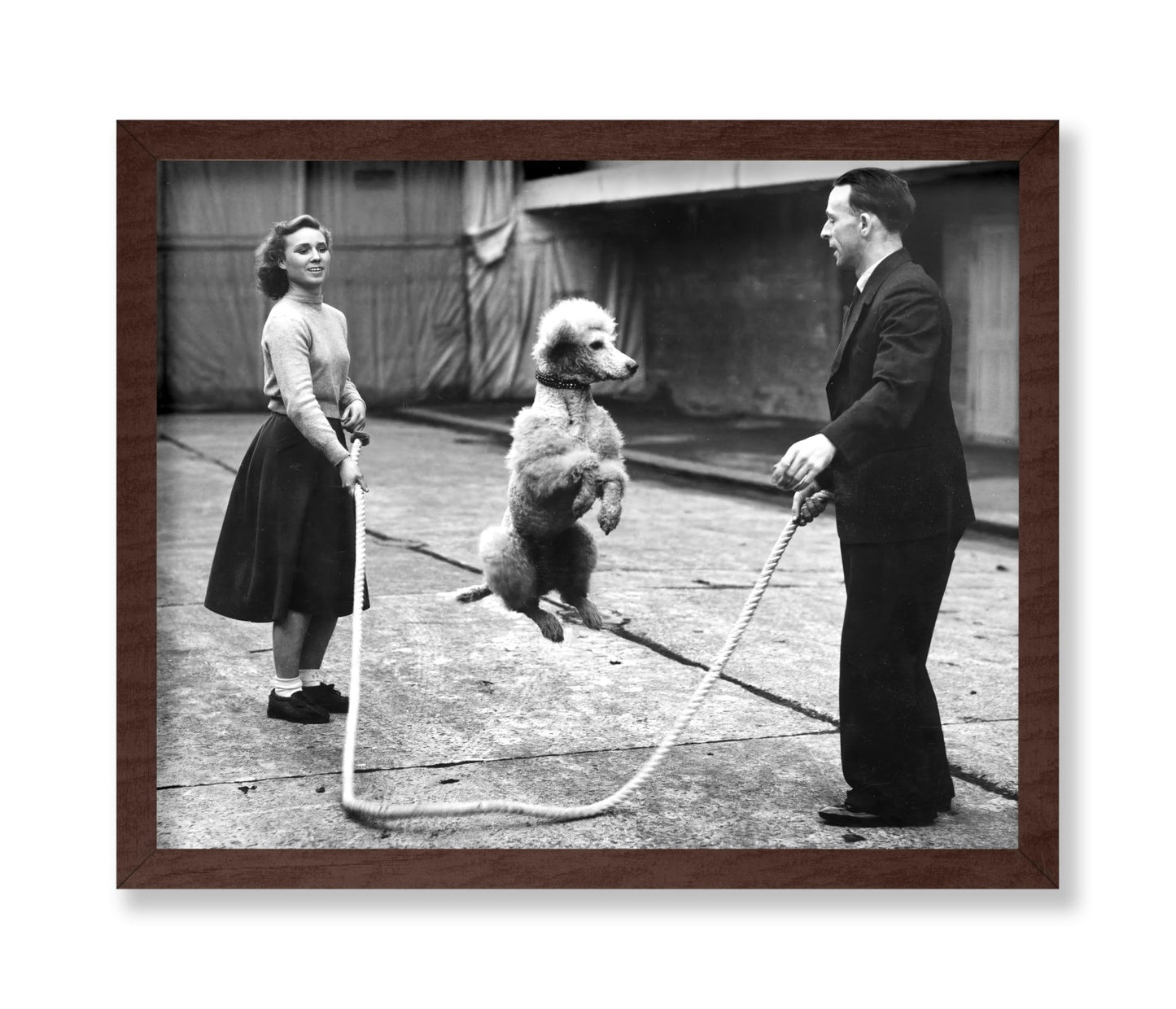 Poodle Jumping Rope