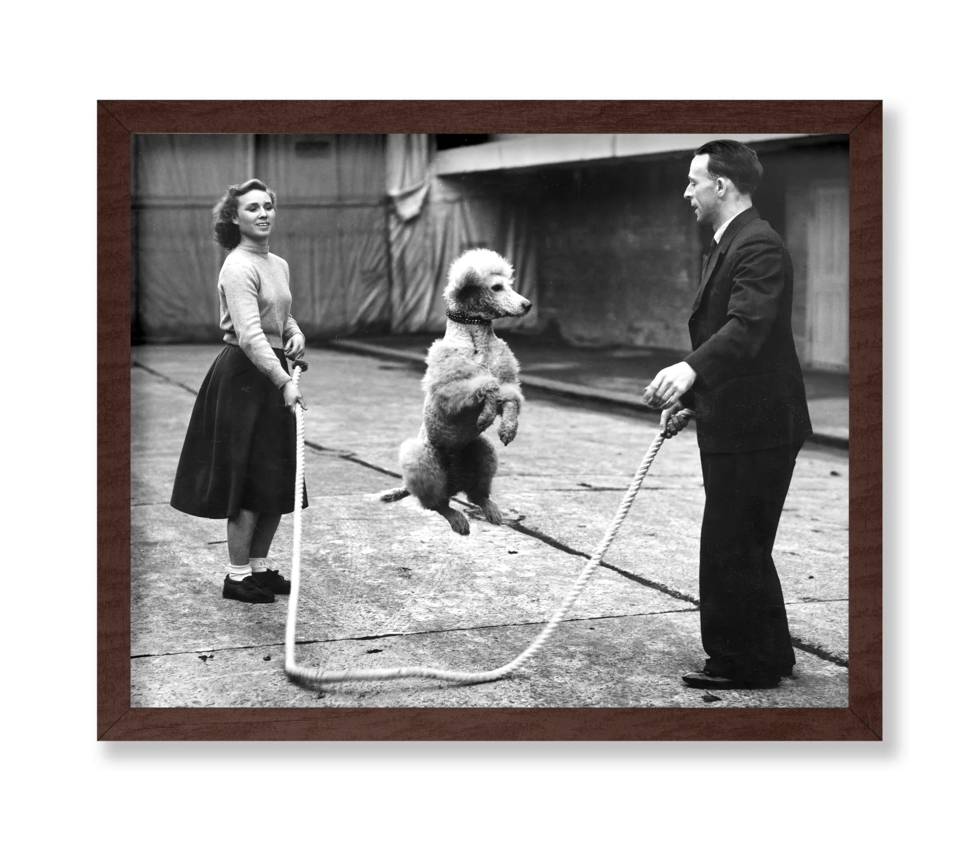 Poodle Jumping Rope