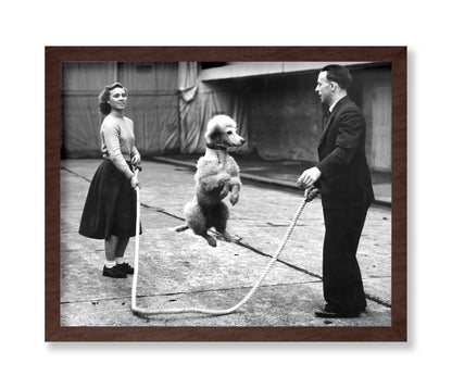Poodle Jumping Rope