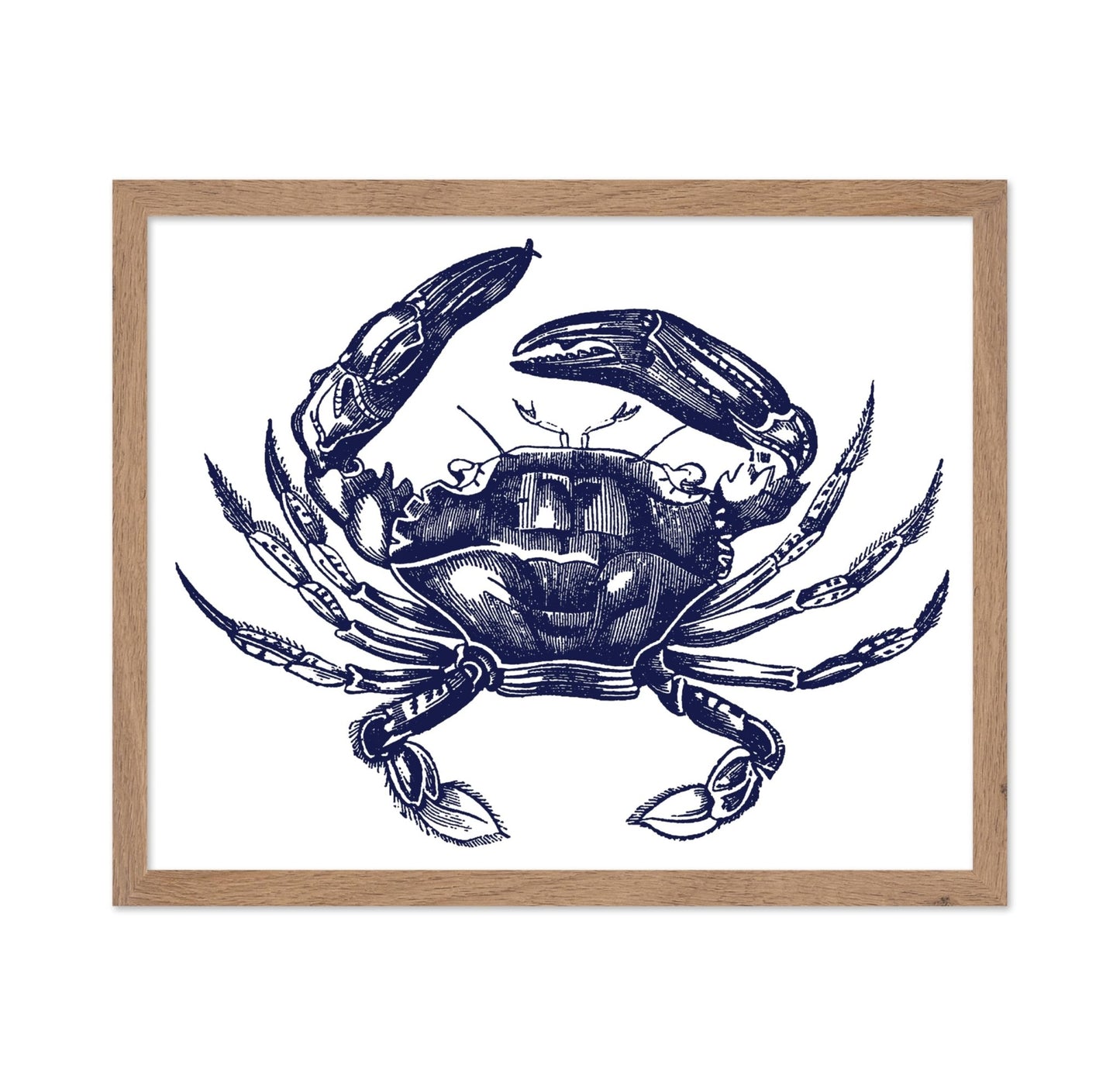 Navy Blue Crab
