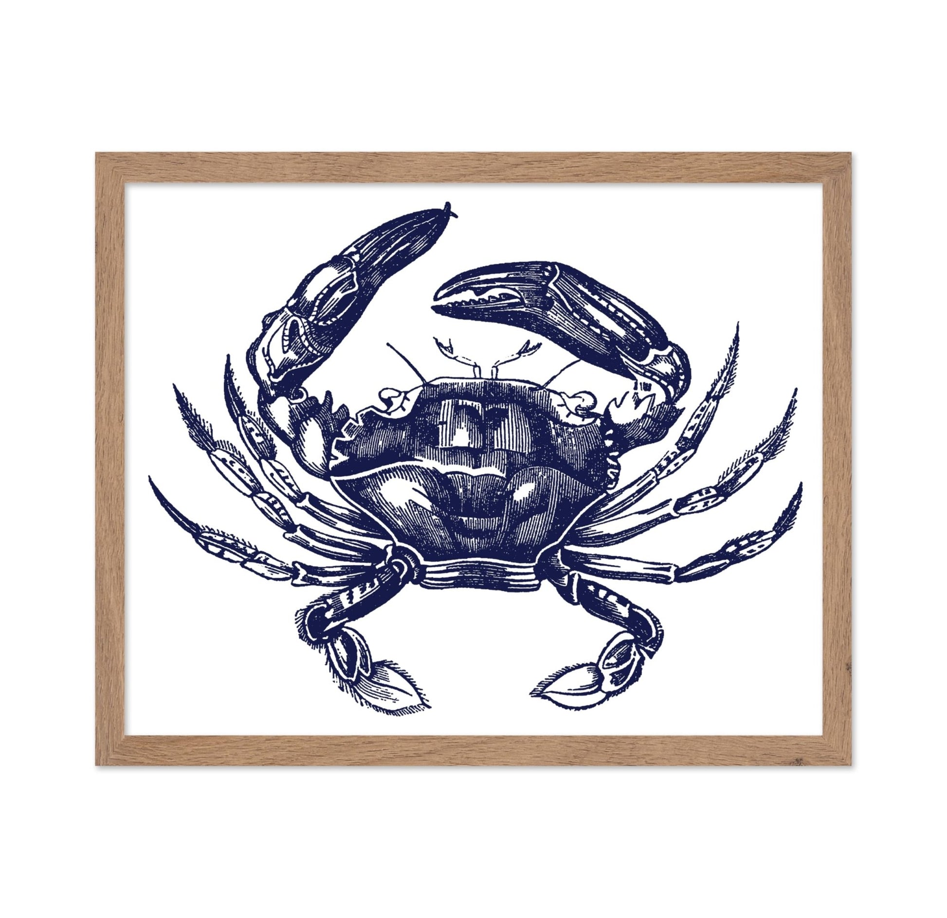 Navy Blue Crab