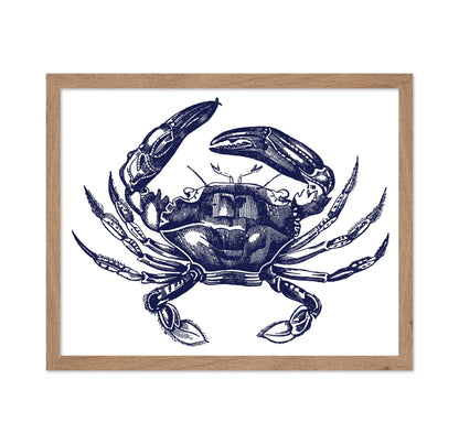 Navy Blue Crab