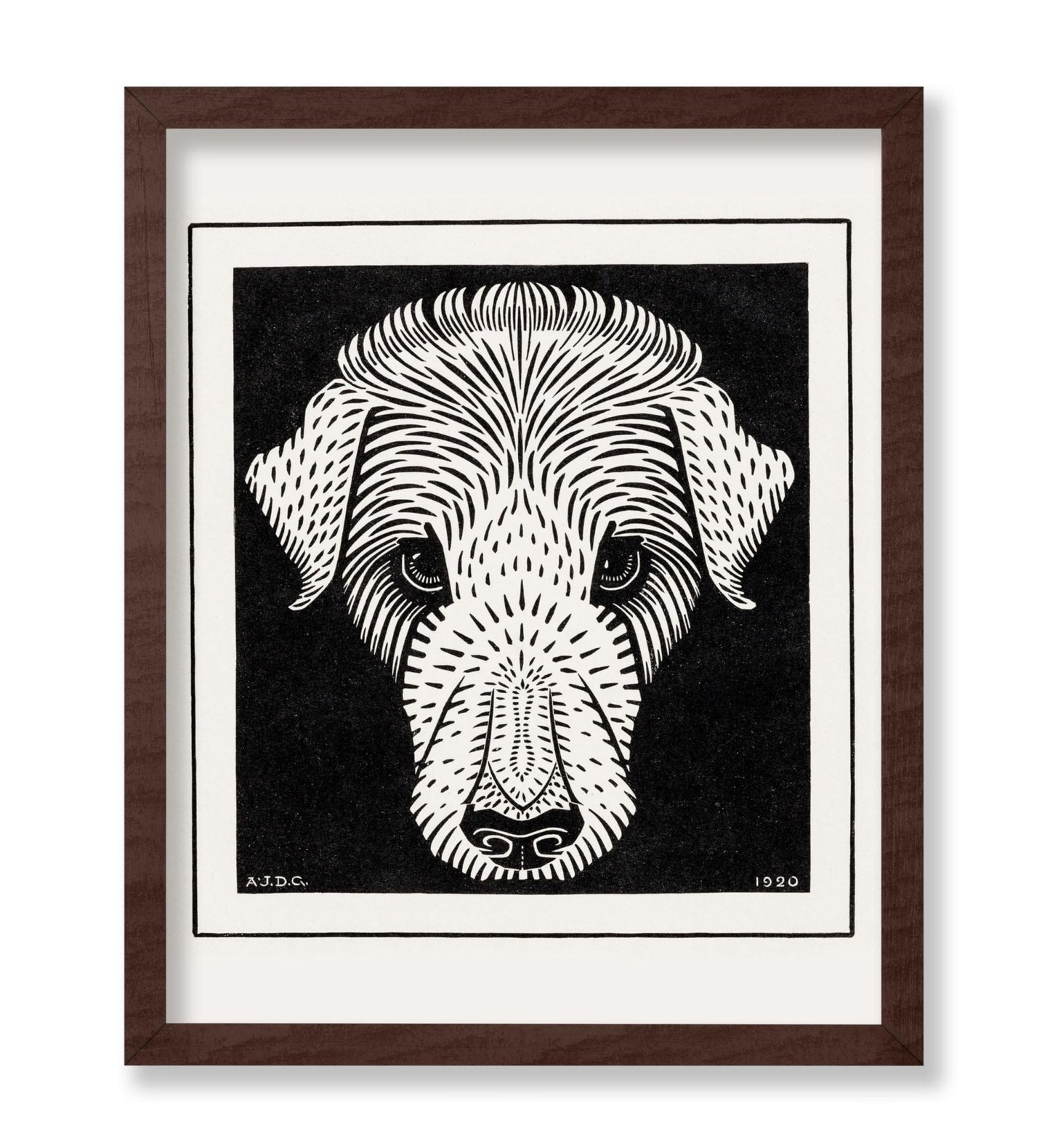 Dog's Head