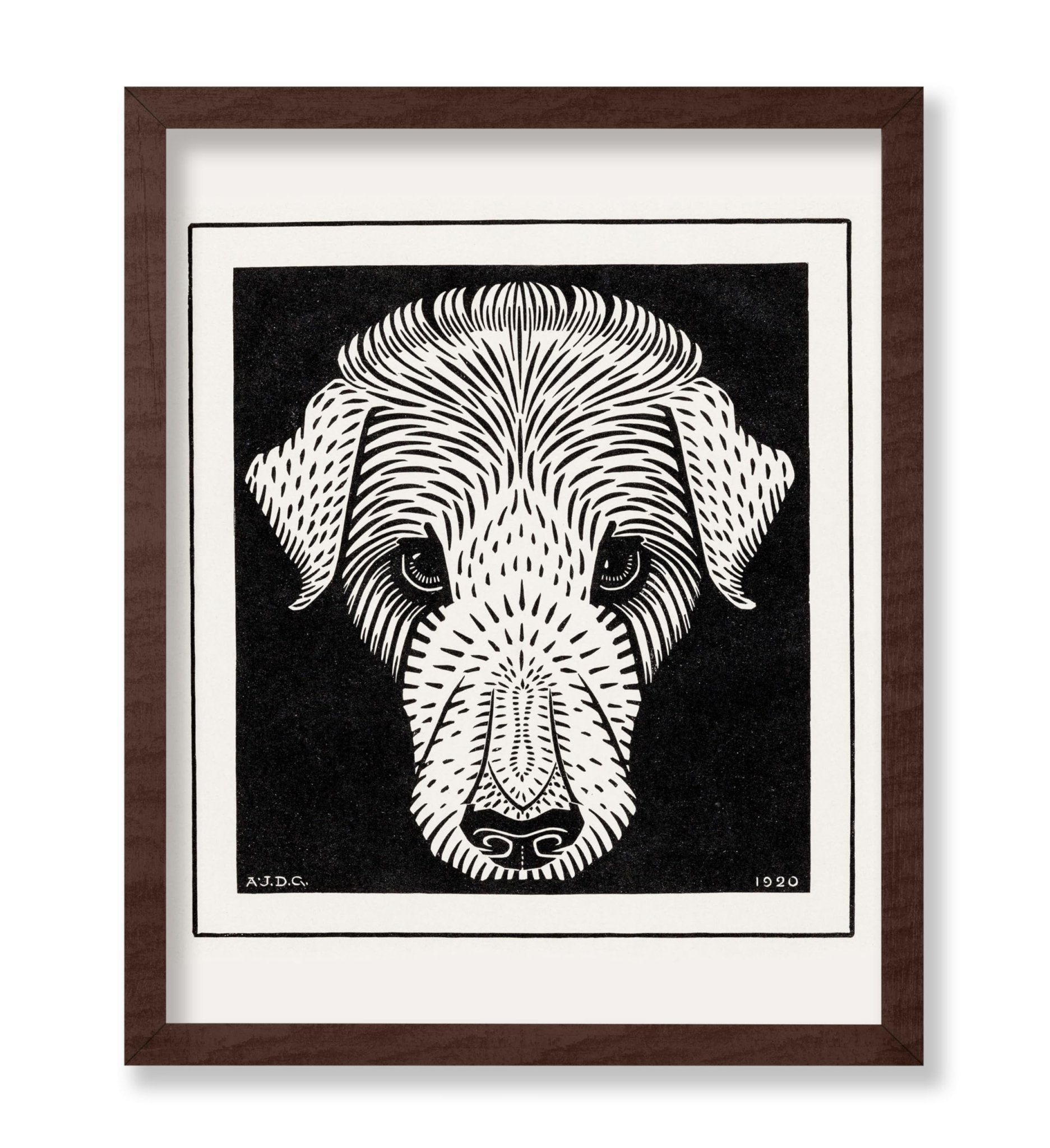 Dog's Head