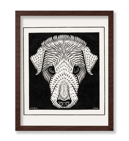 Dog's Head