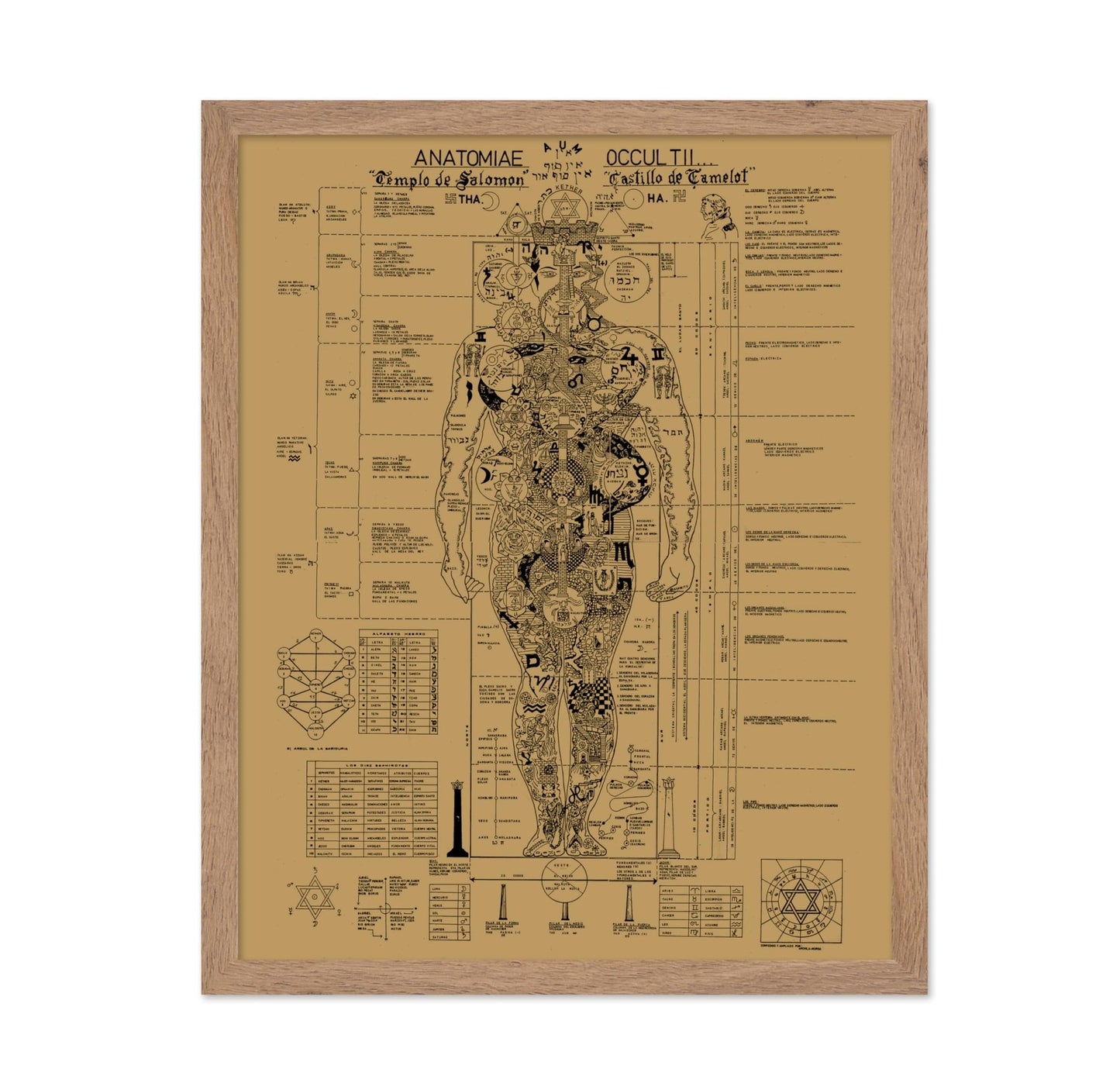 Occult Anatomy