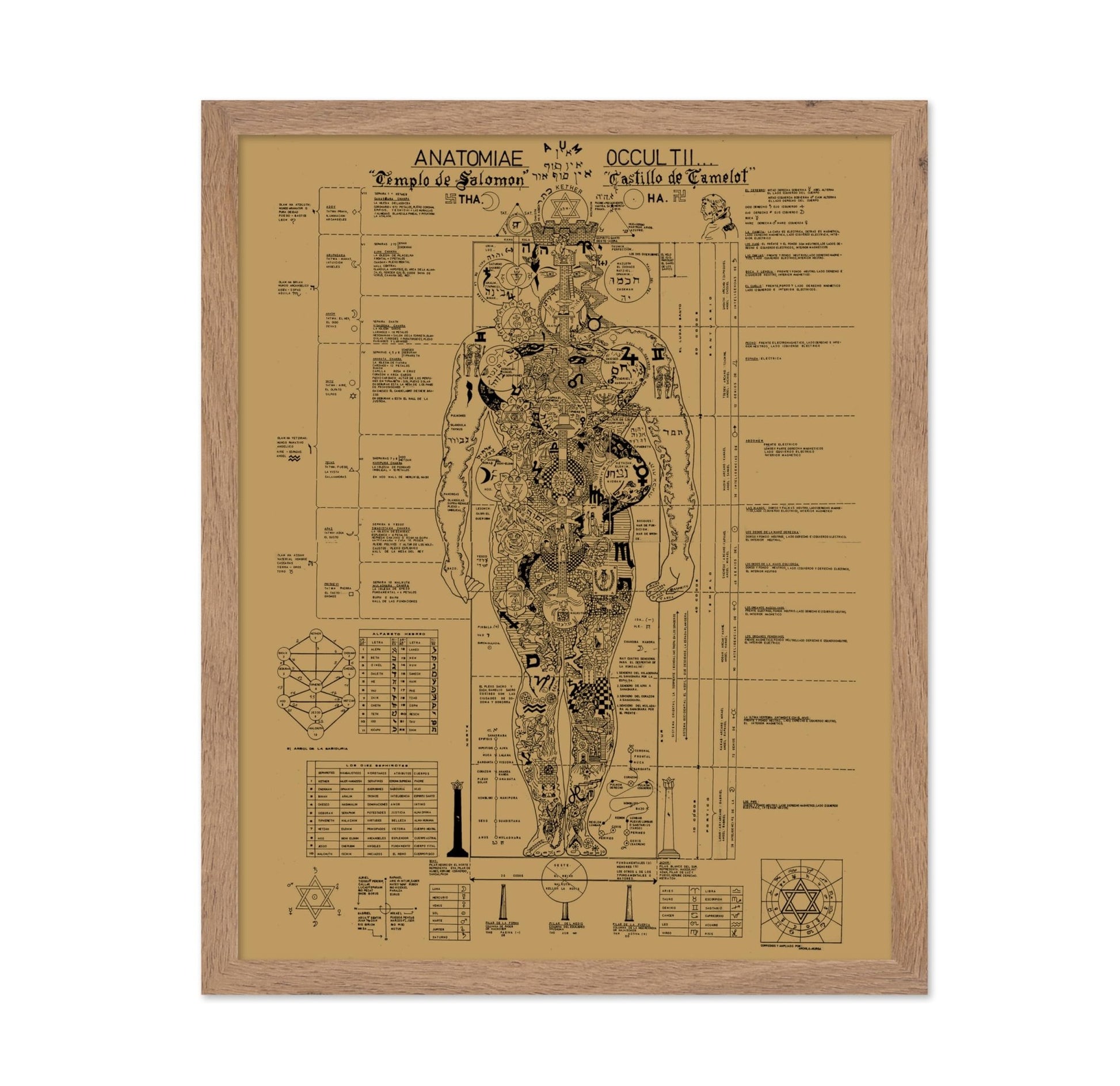 Occult Anatomy