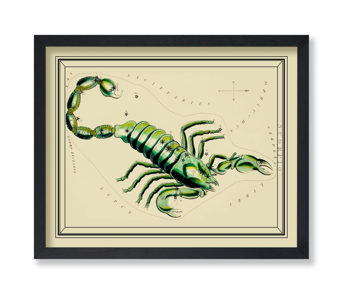 Urania's Mirror Scorpio