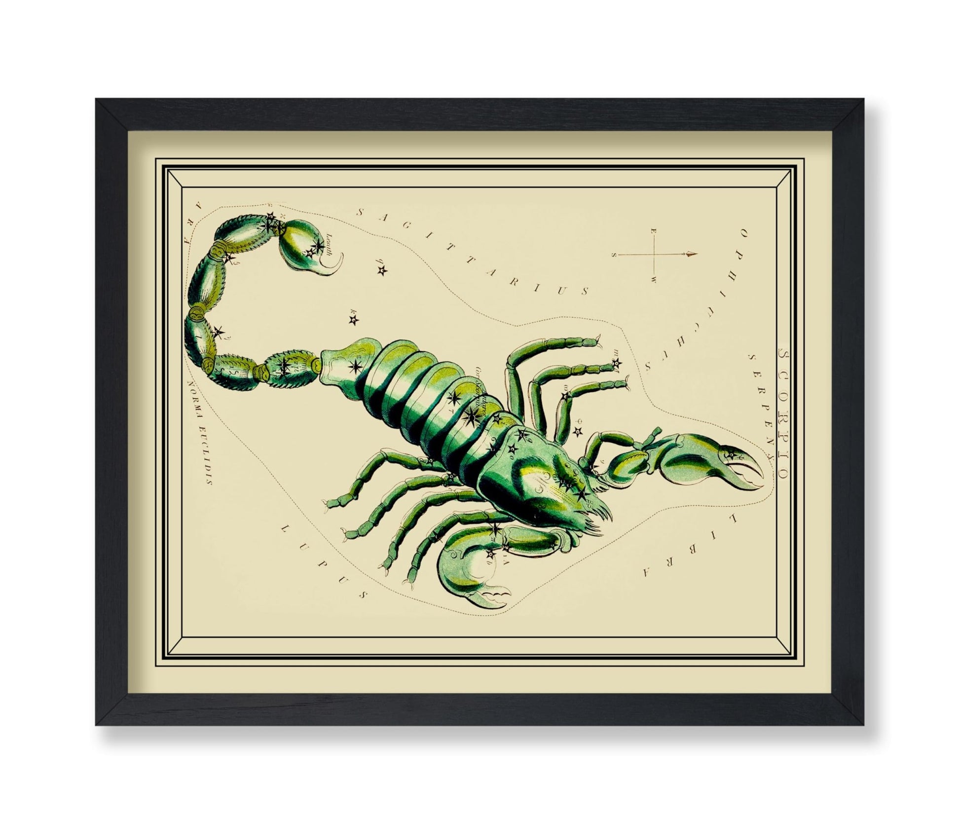 Urania's Mirror Scorpio