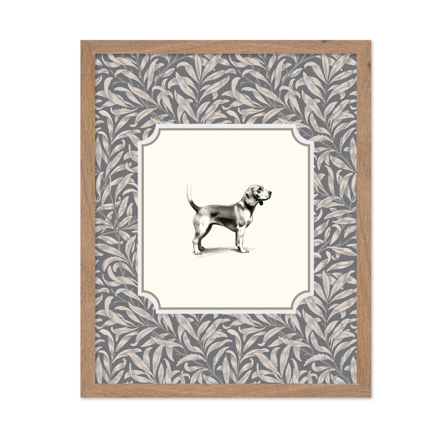 Beagle Dog