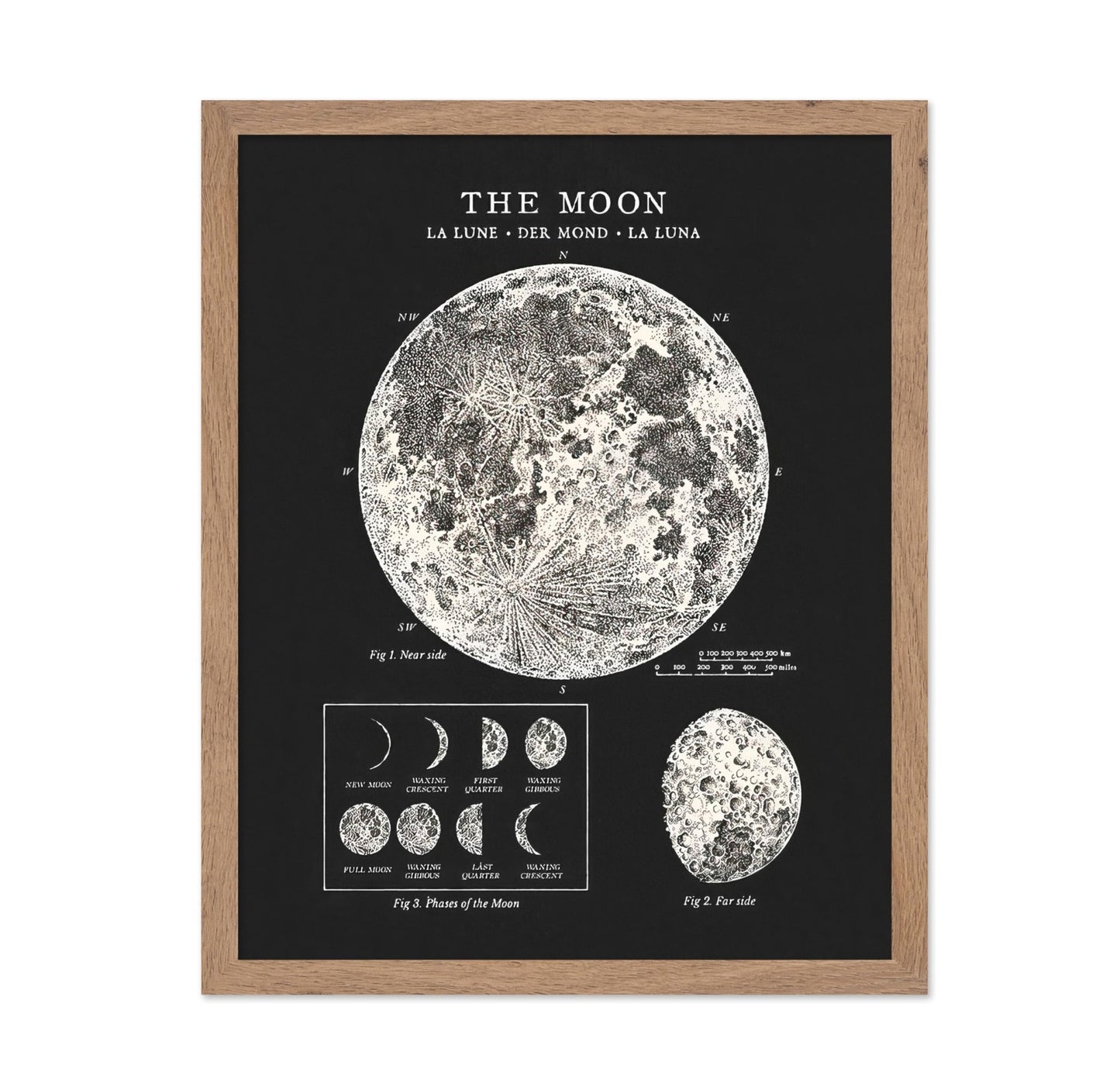 The Moon No3