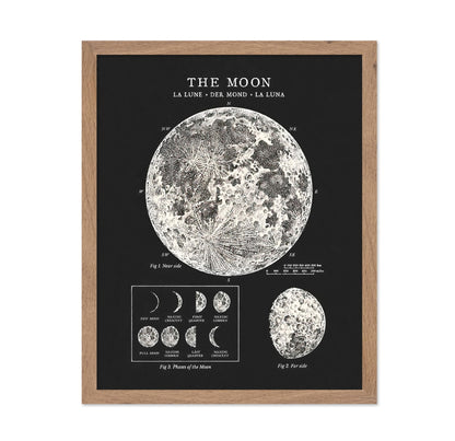 The Moon No3
