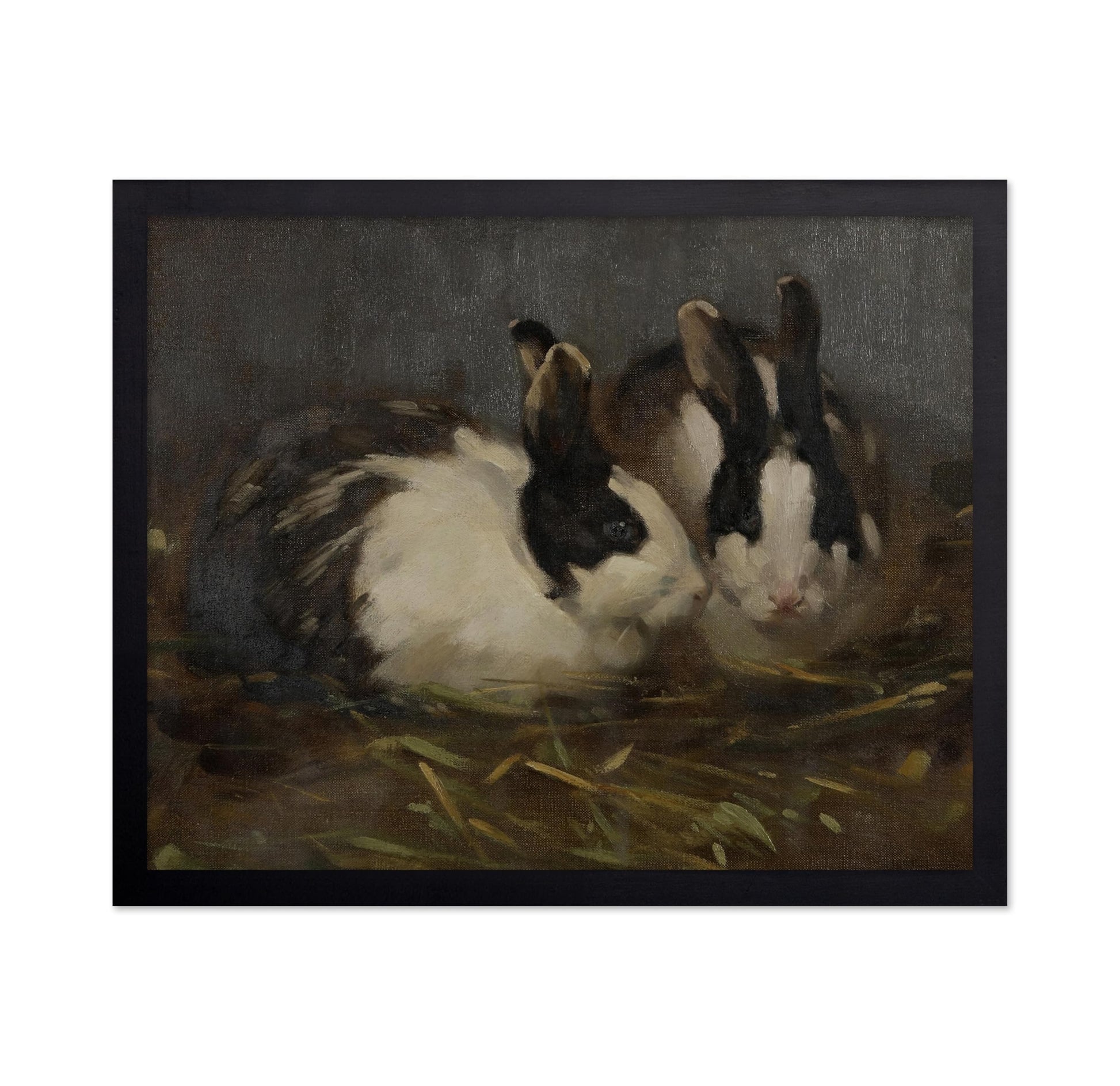 Dutch Rabbits