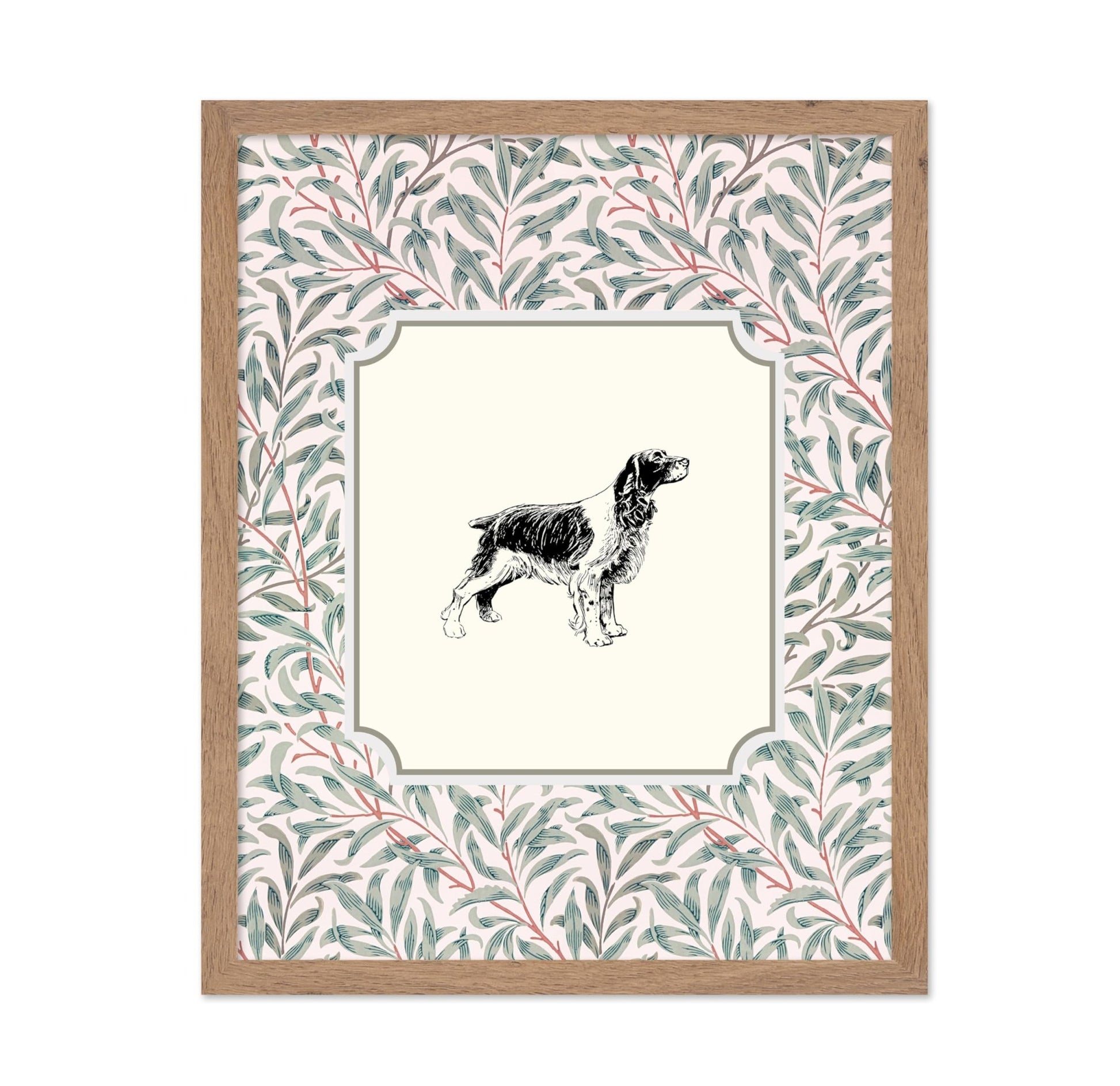 English Cocker Spaniel
