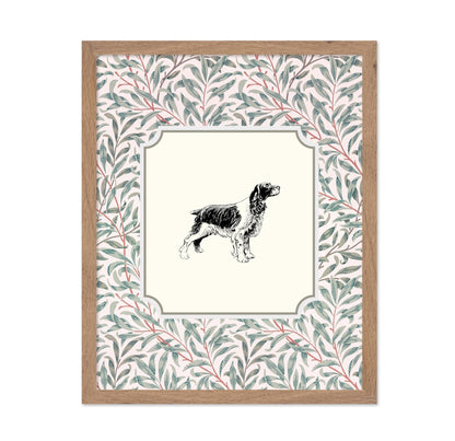English Cocker Spaniel