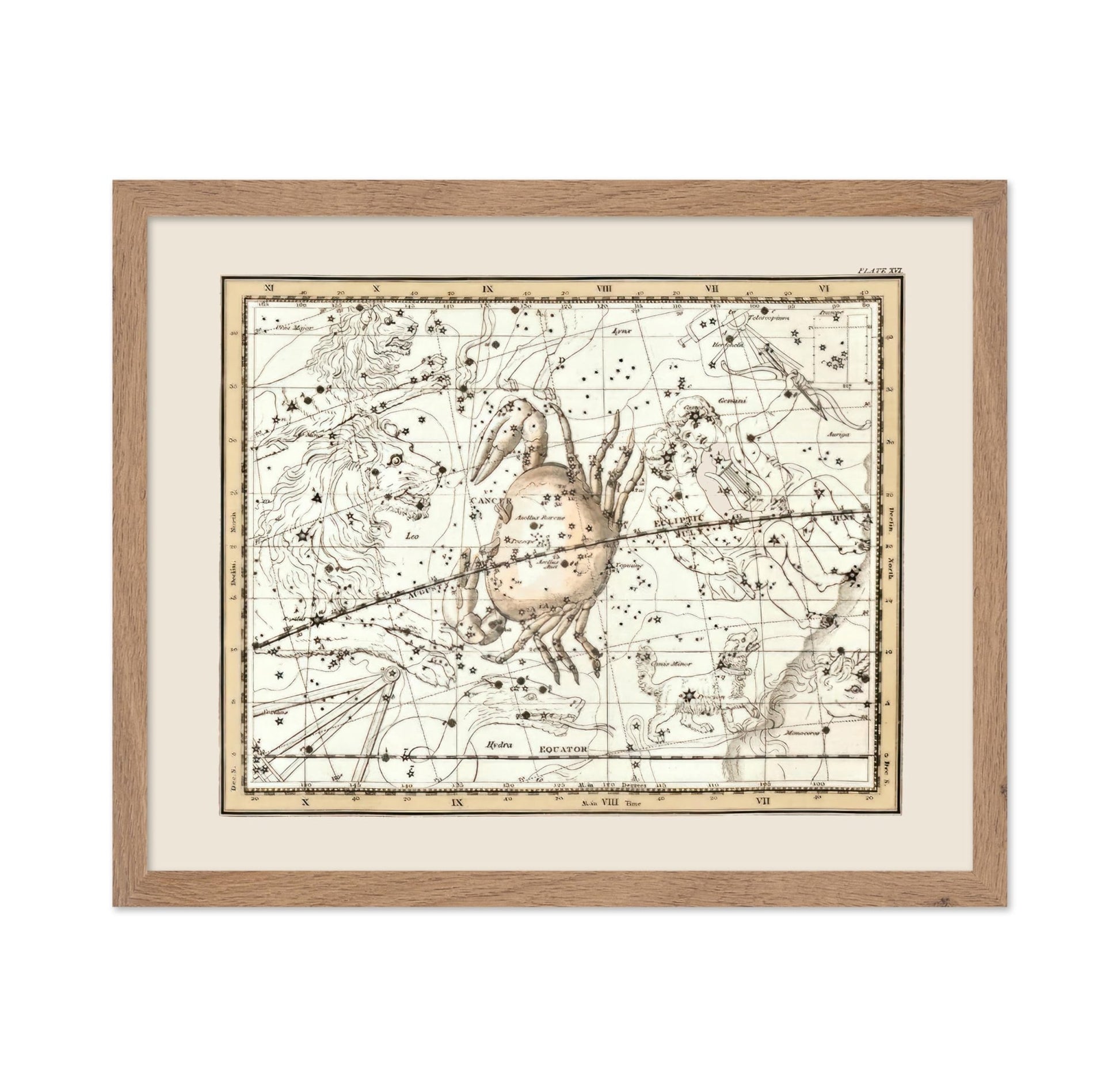 Cancer the Crab Zodiac Sign