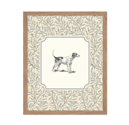Foxhound Dog