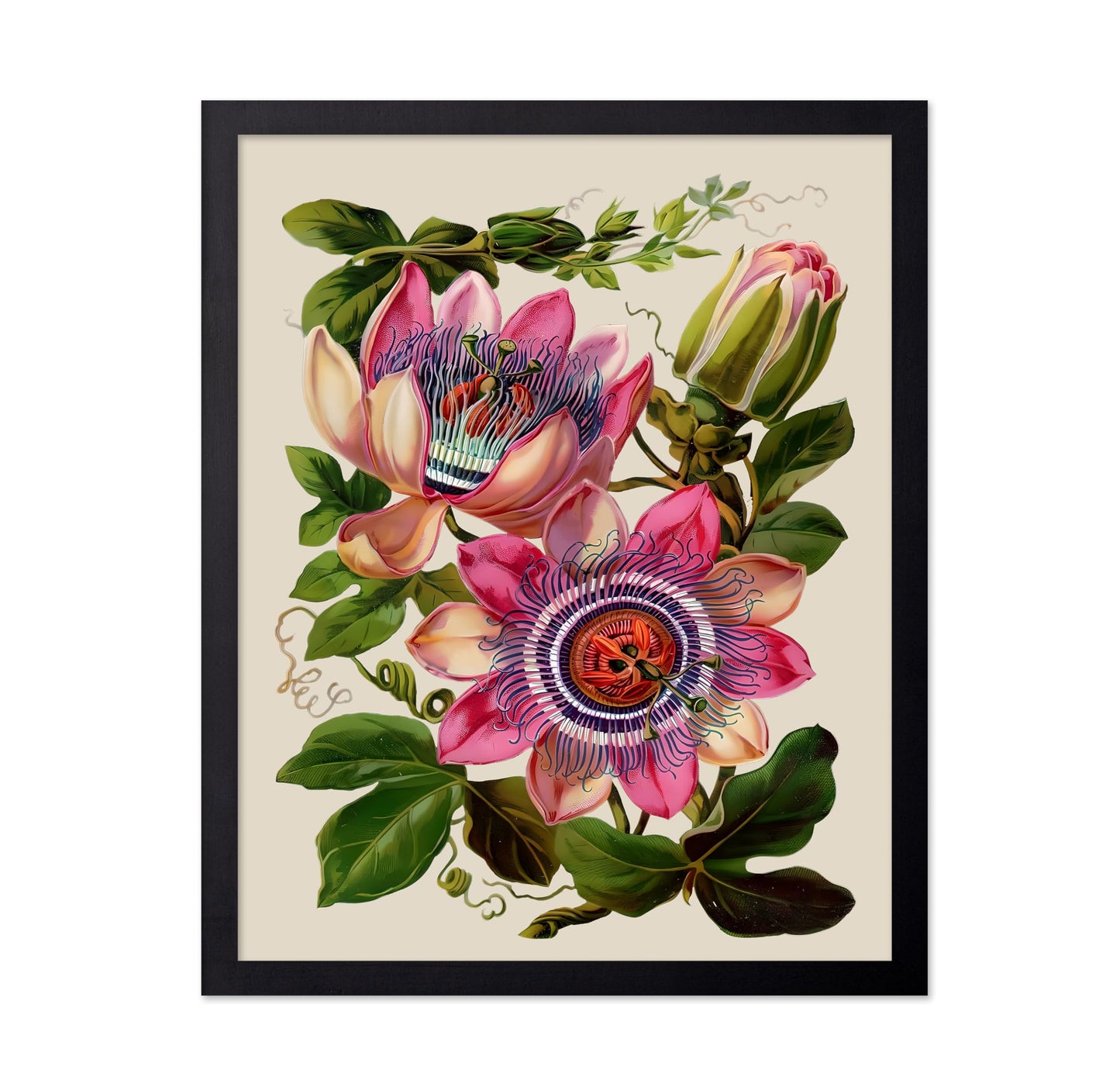Passion Flower No2